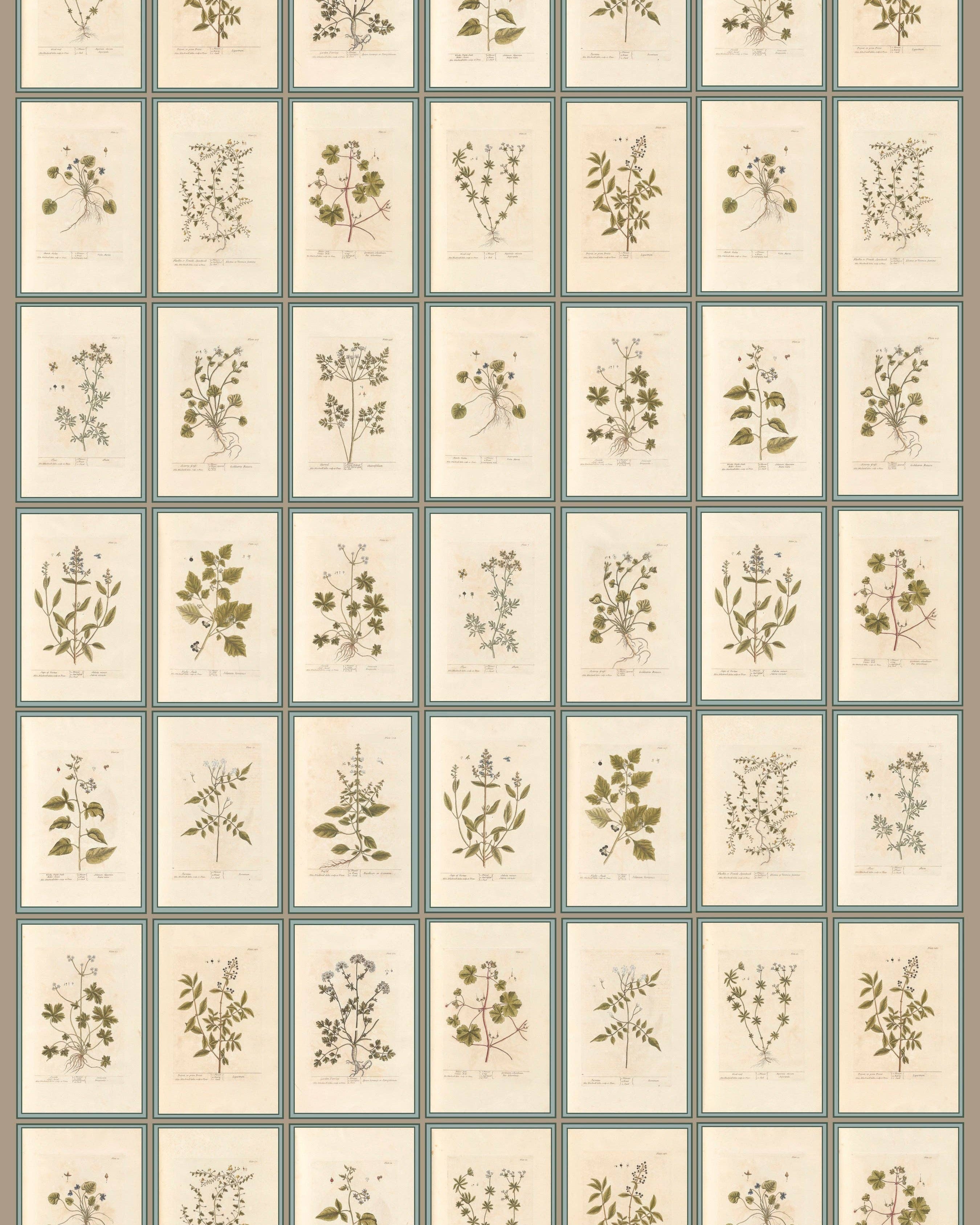 Botanical Wrapping Papers