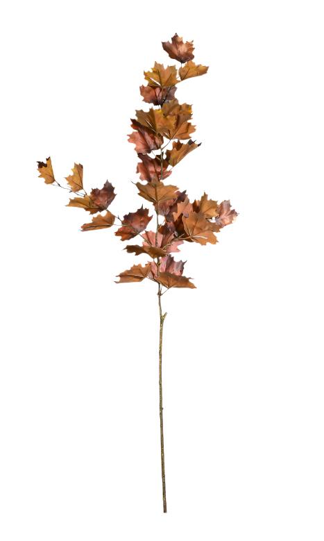 Northern Vermont Maple Spray Nutmeg