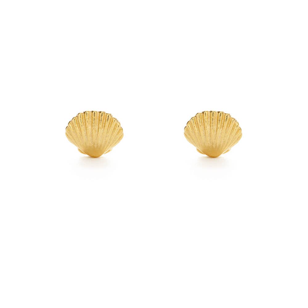 Tiny Shell Stud Earrings