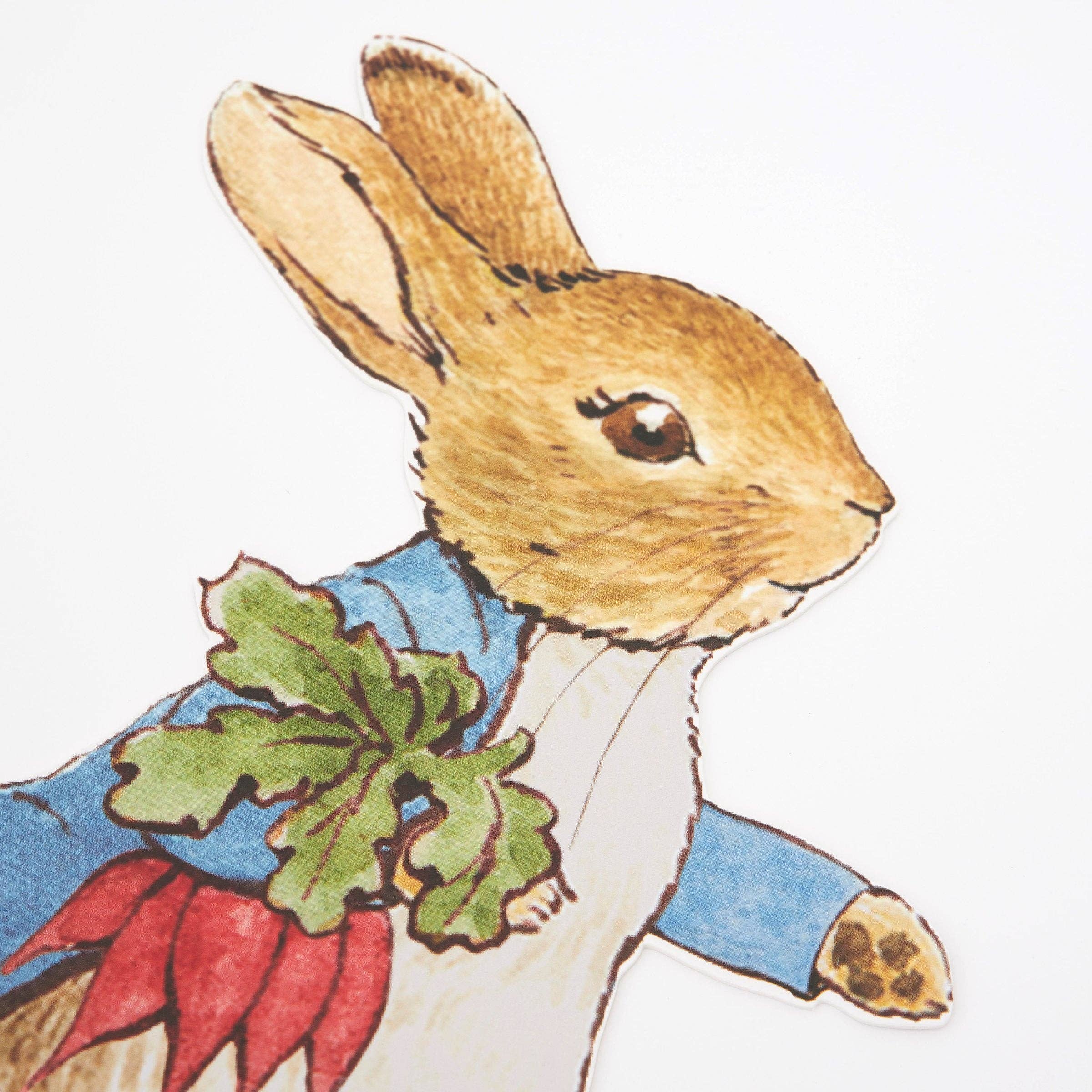 Peter Rabbit & Friends Egg Hunt Kit