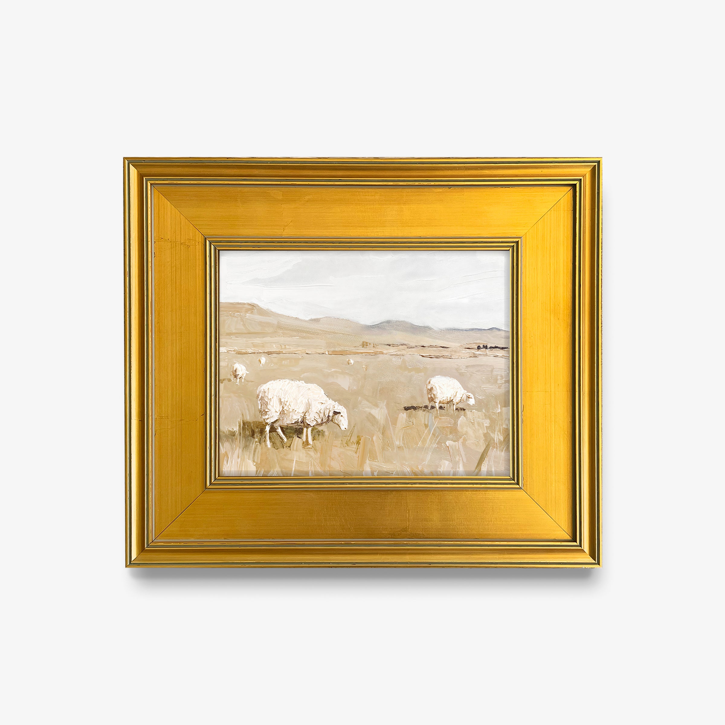 Sheep in Field