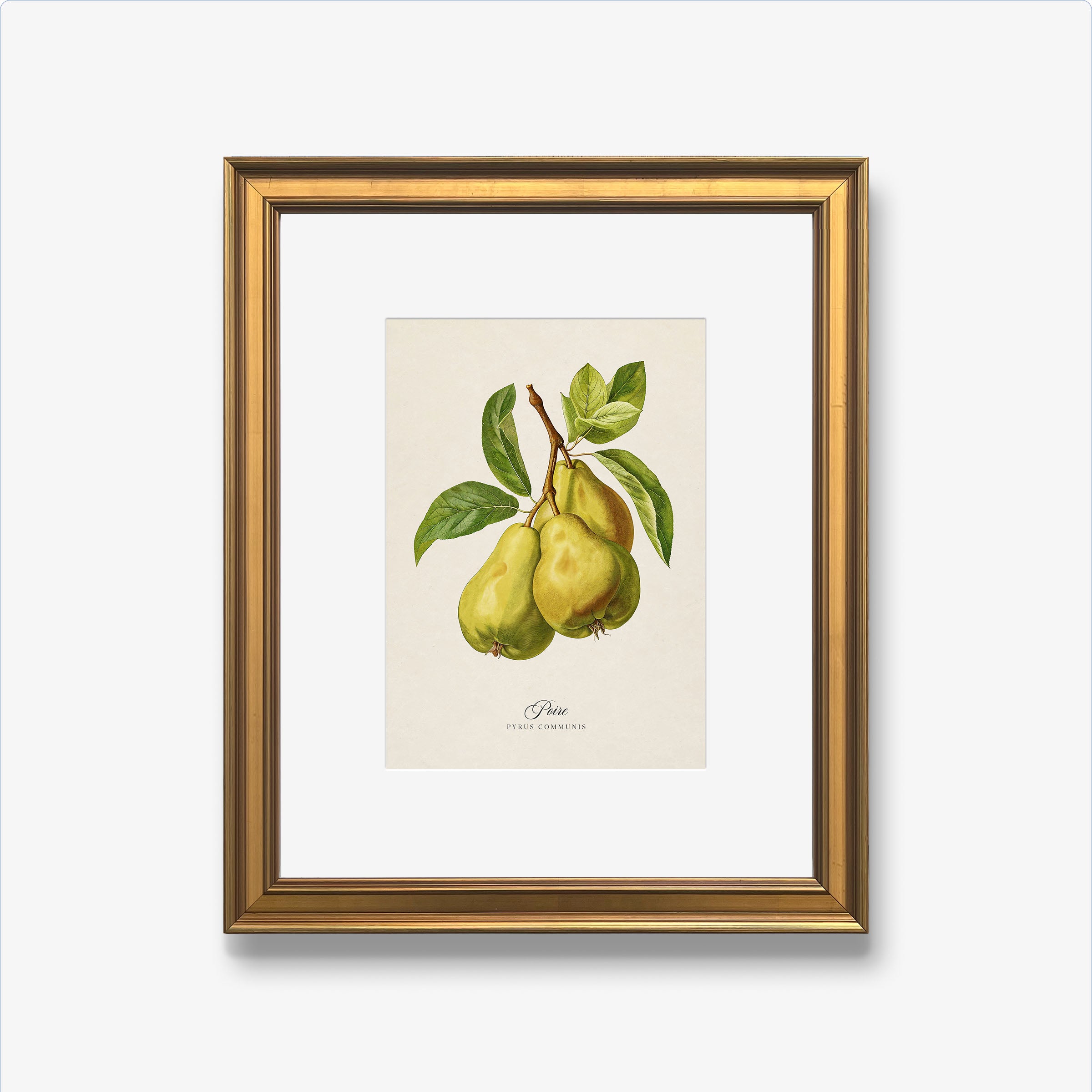 Botanicals: Poire