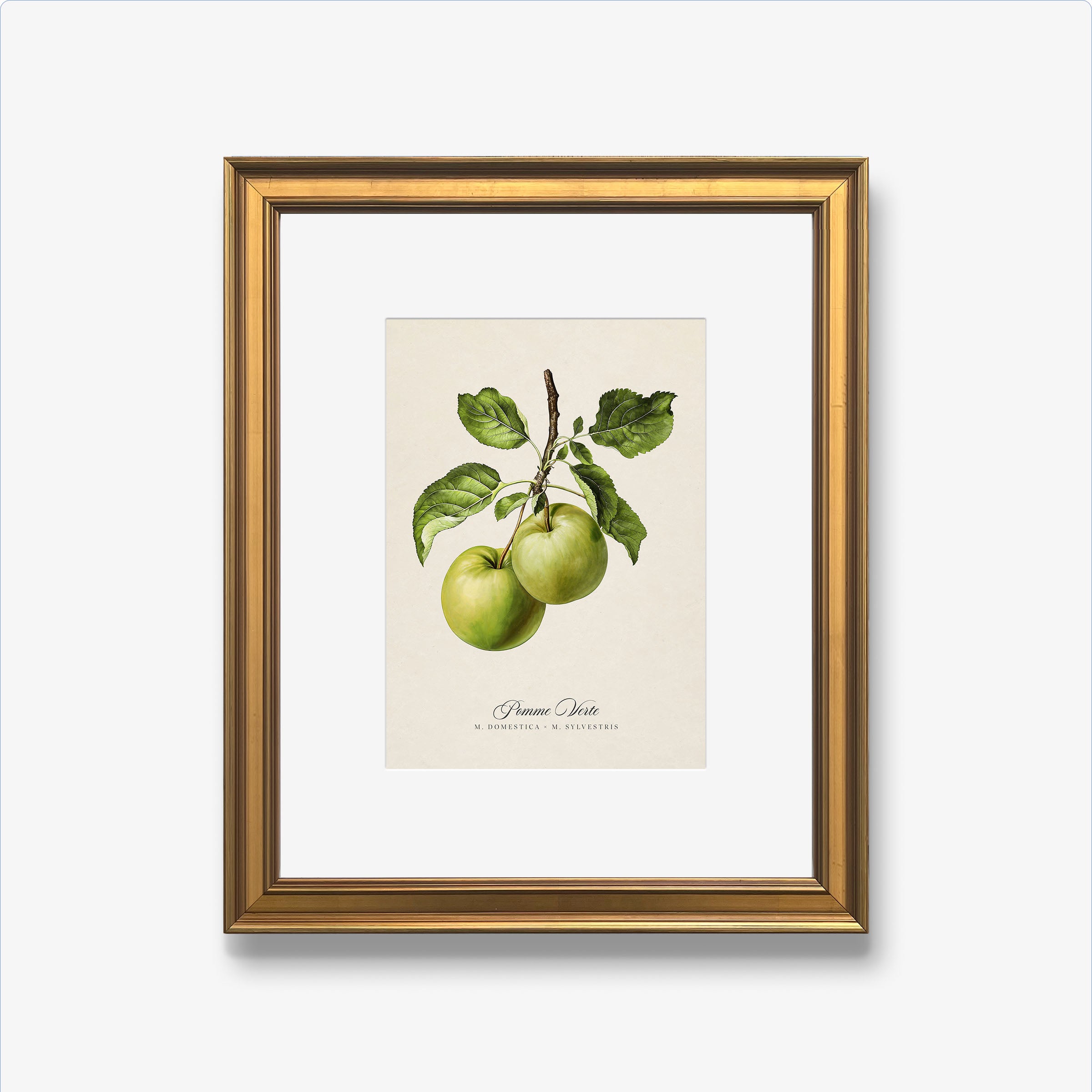 Botanicals: Pomme Verte