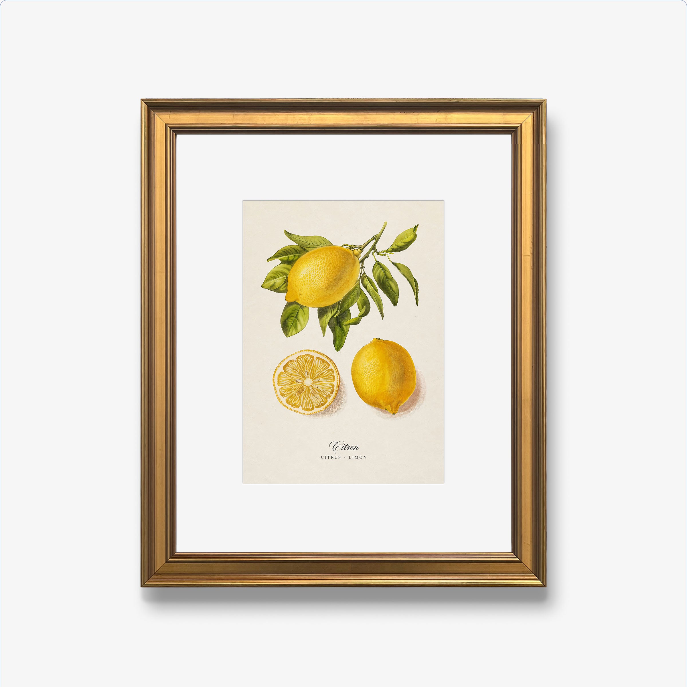 Botanicals: Citron