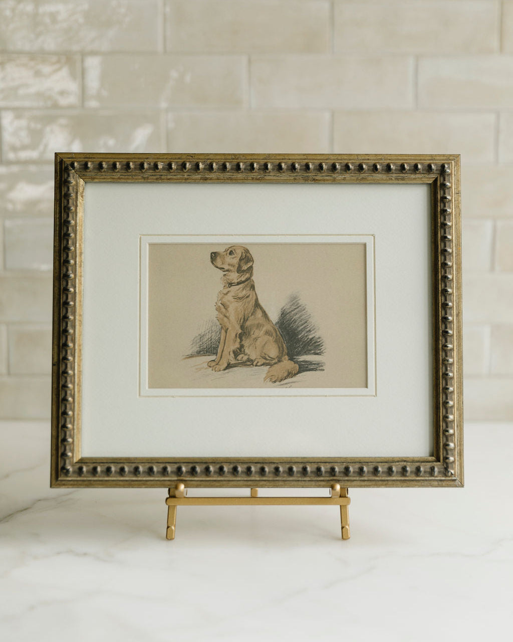 Dog Sketch