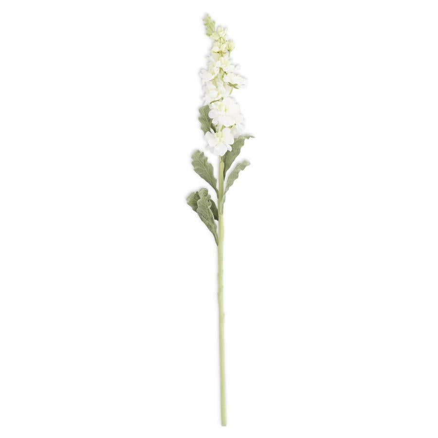 White Stock Flower Stem
