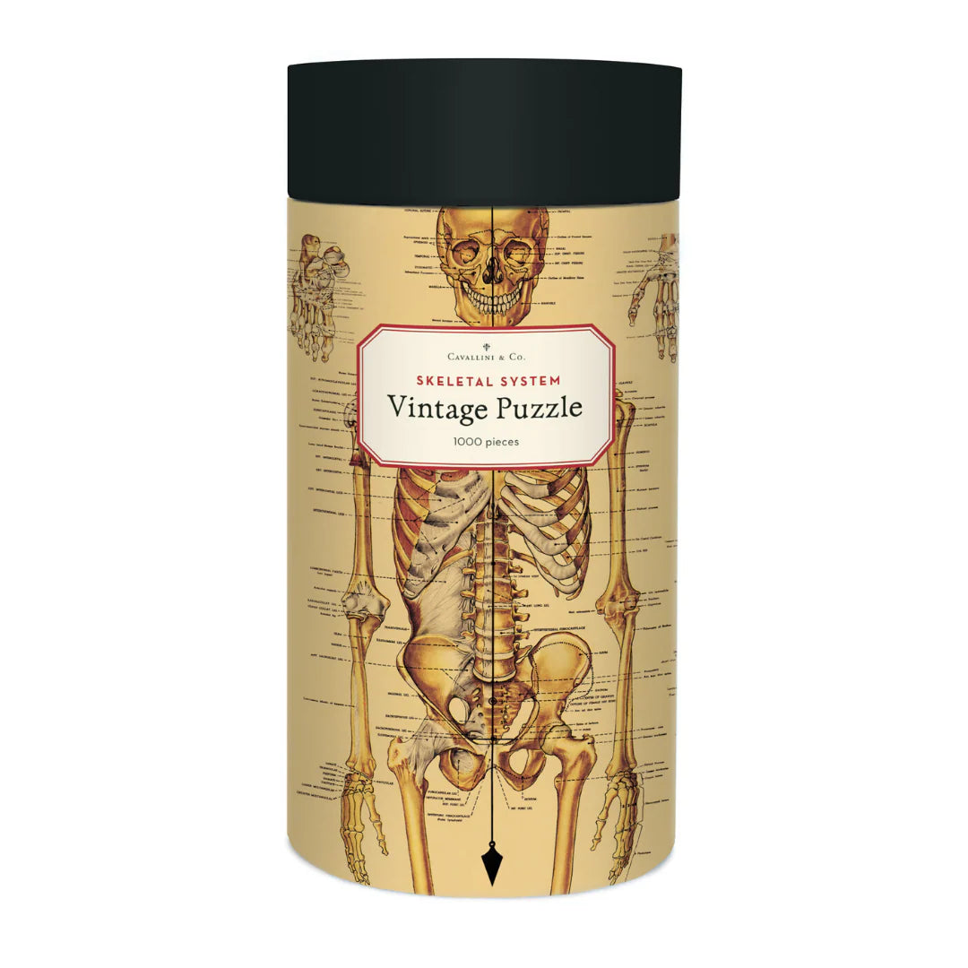 Skeletal System Puzzle