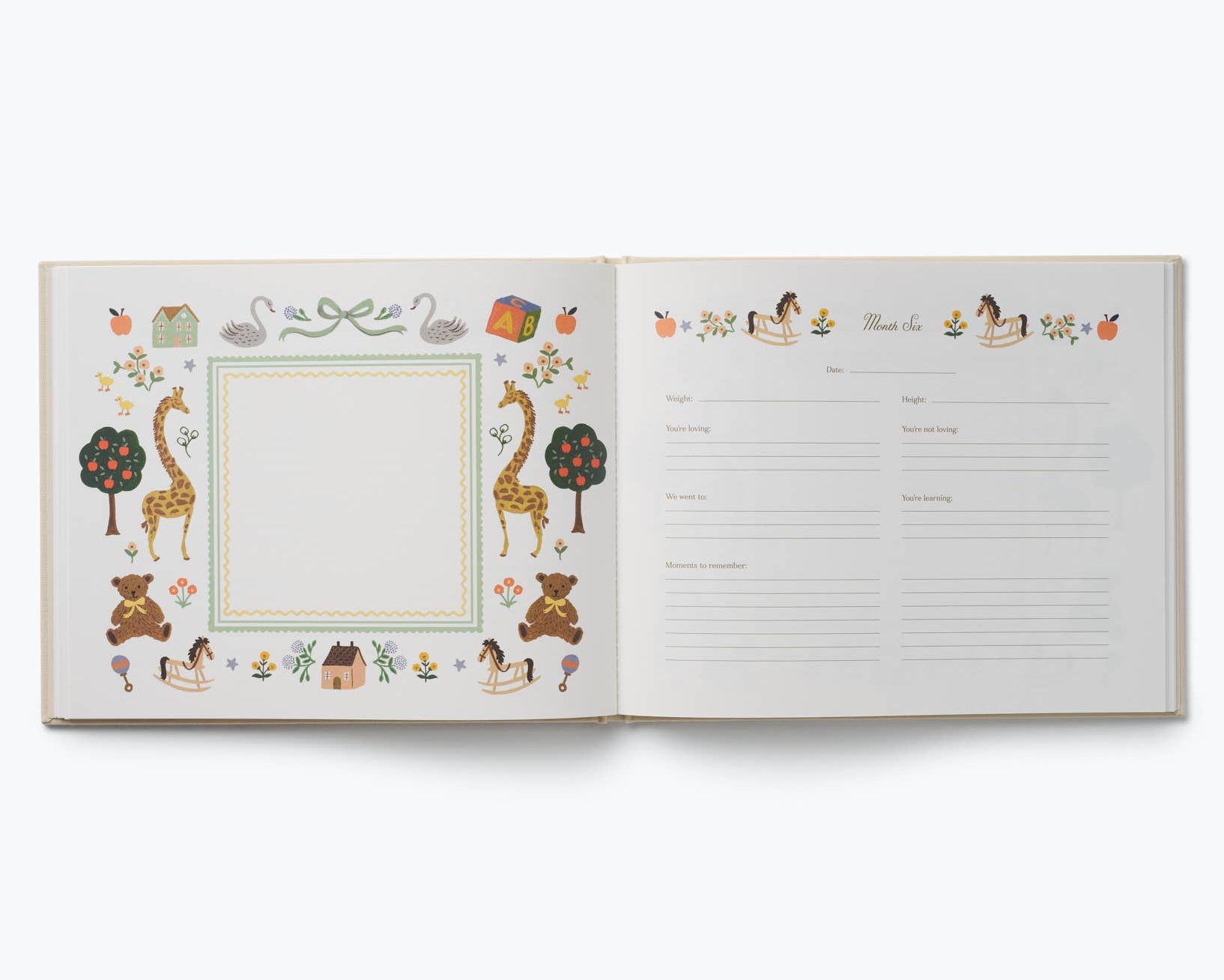 Embroidered Baby Book