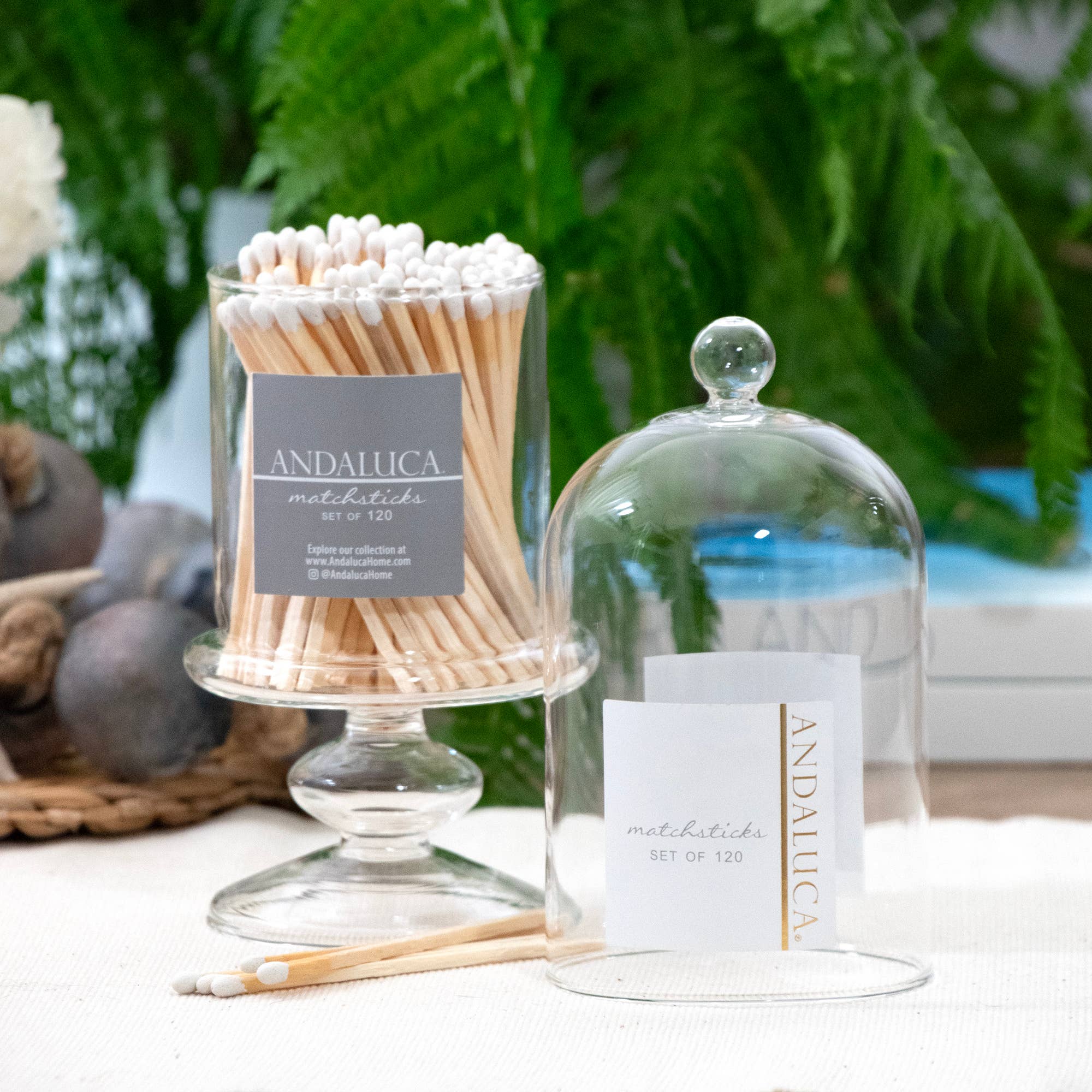 Glass Match Cloche
