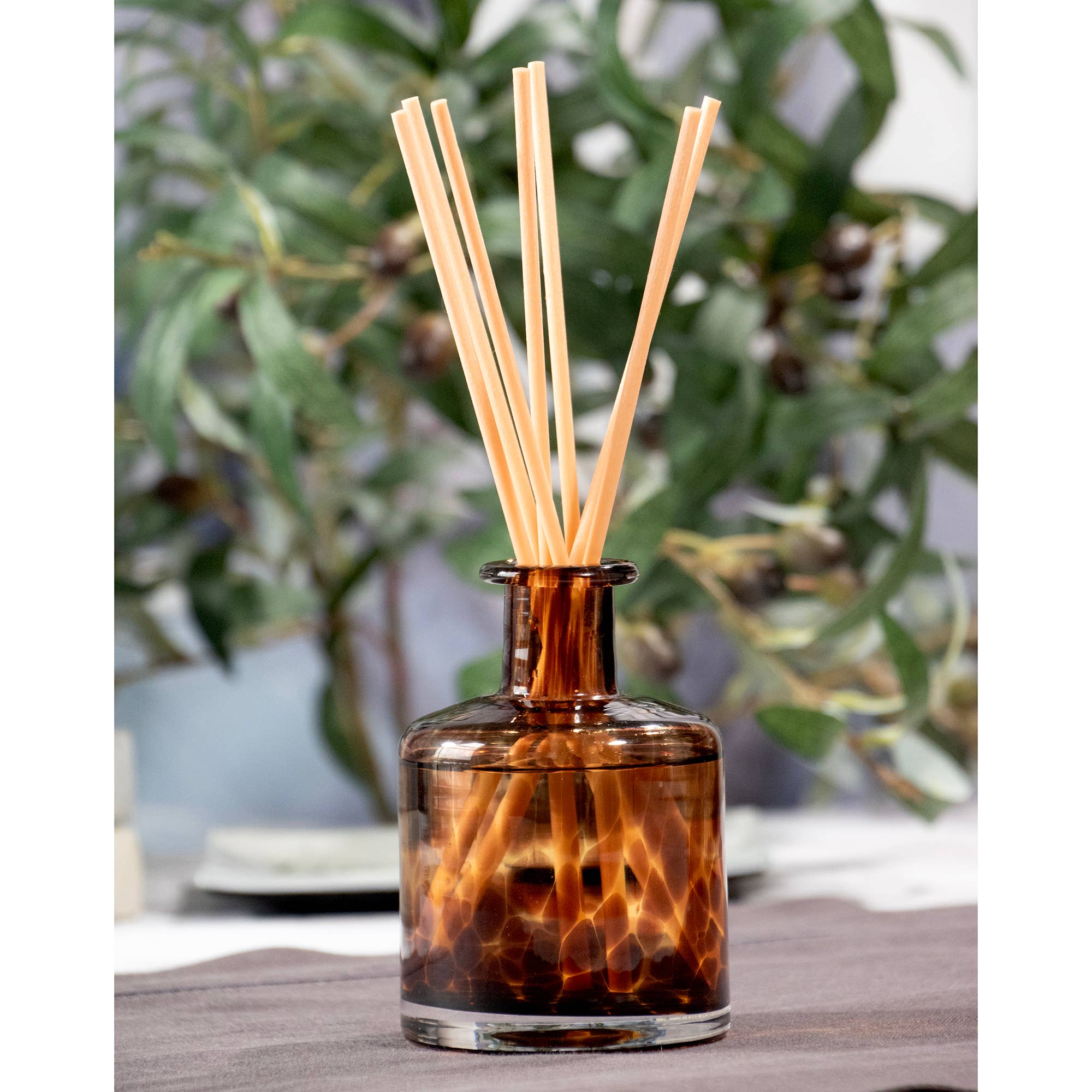 Fig & Aged Diffuser