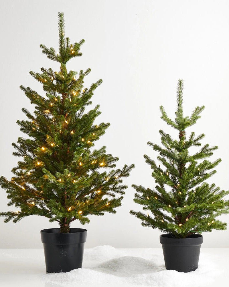 Lighted Potted Fir Tree
