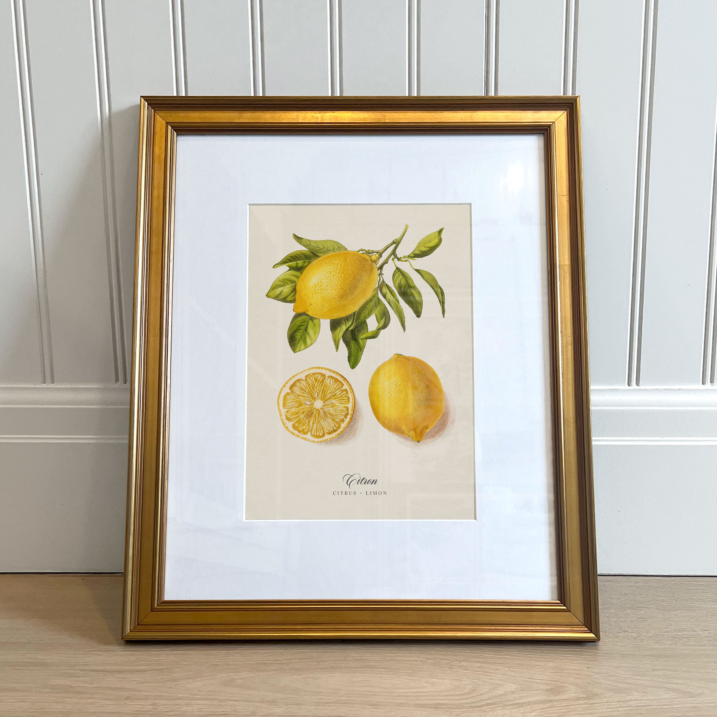 Botanicals: Citron