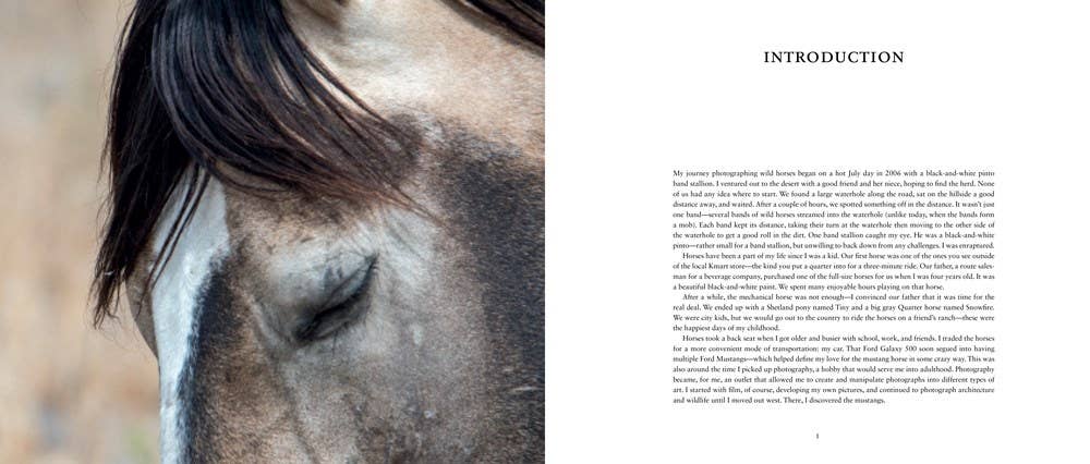 Wild Horses of the West