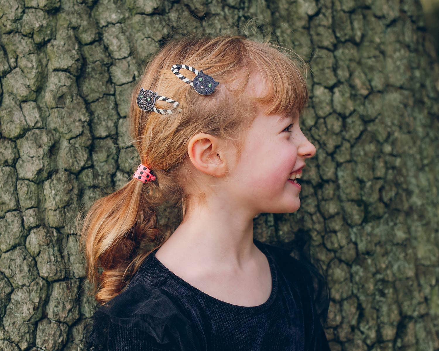 Stripy Cat Clips