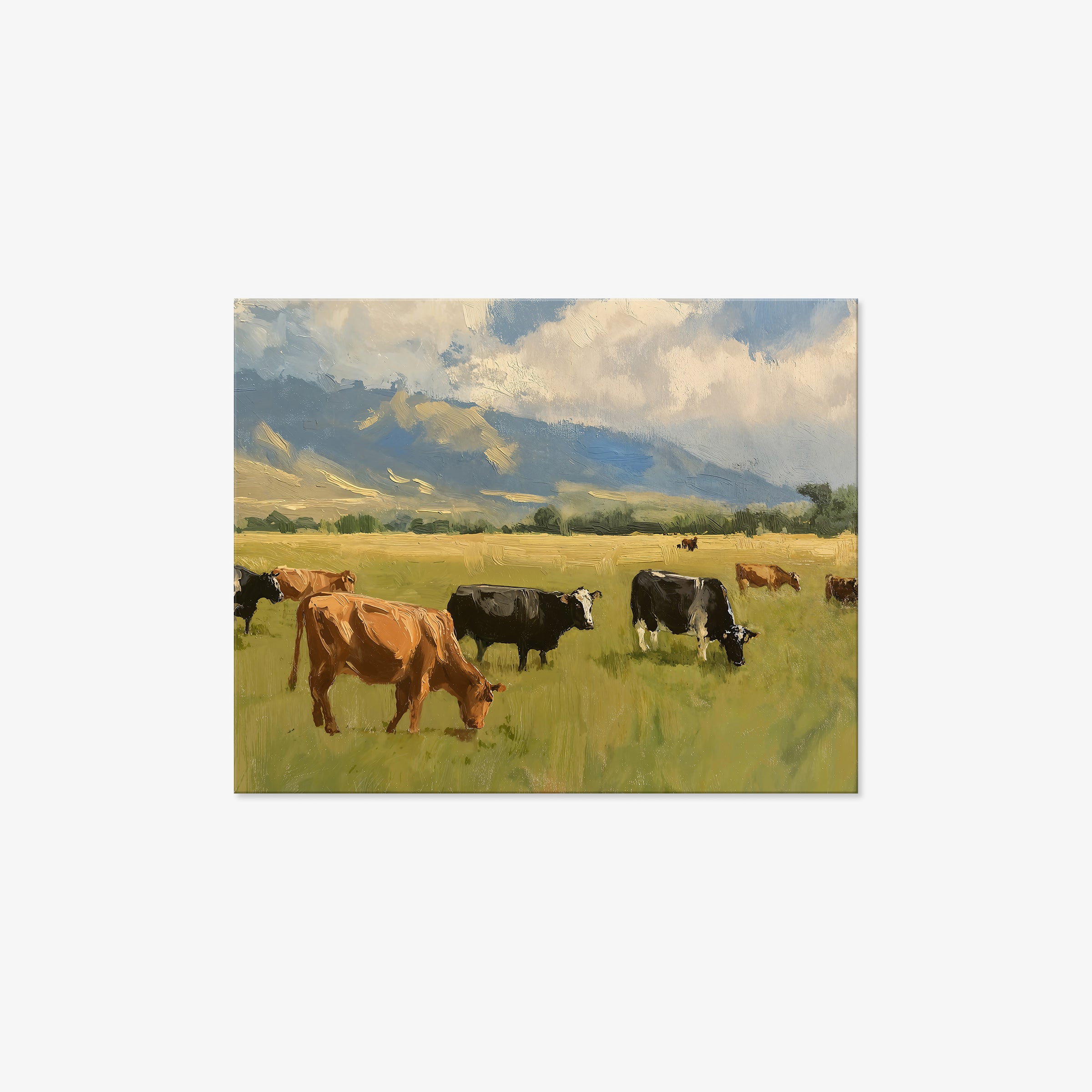 Cows in Pasture