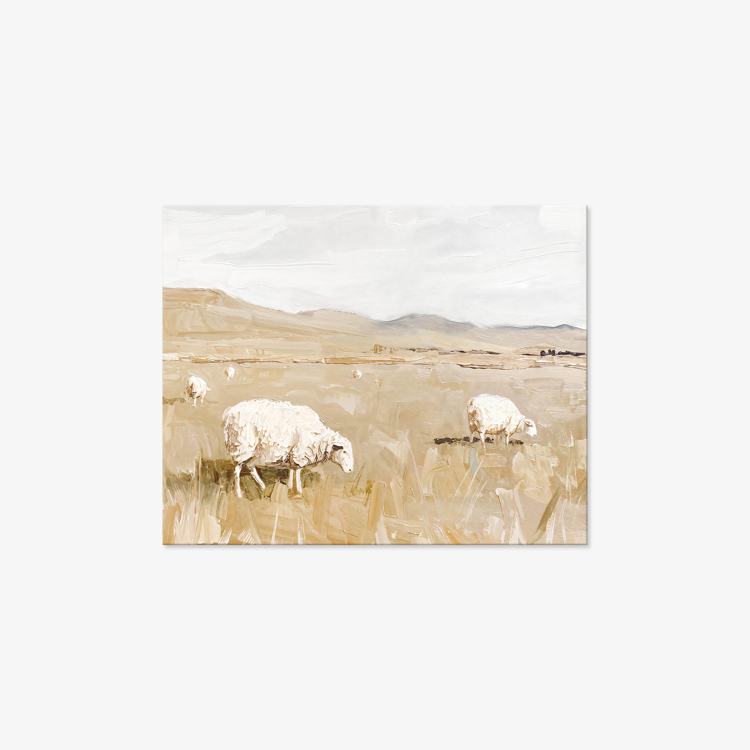 Sheep in Field