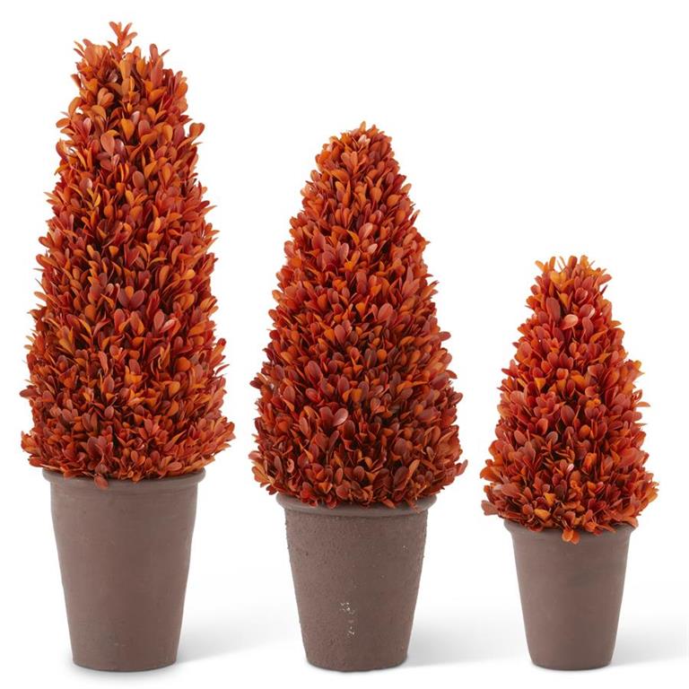 Orange Preserved Boxwood Potted Cone Tree