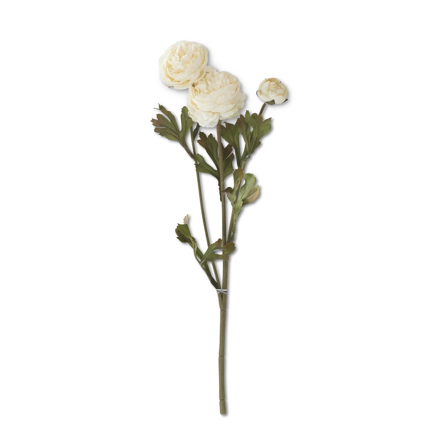 Cream Ranunculus Stem