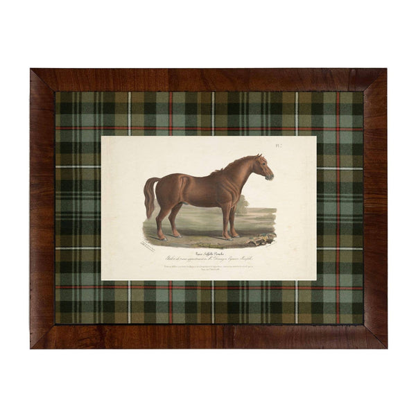 Vintage Horse Bookplate