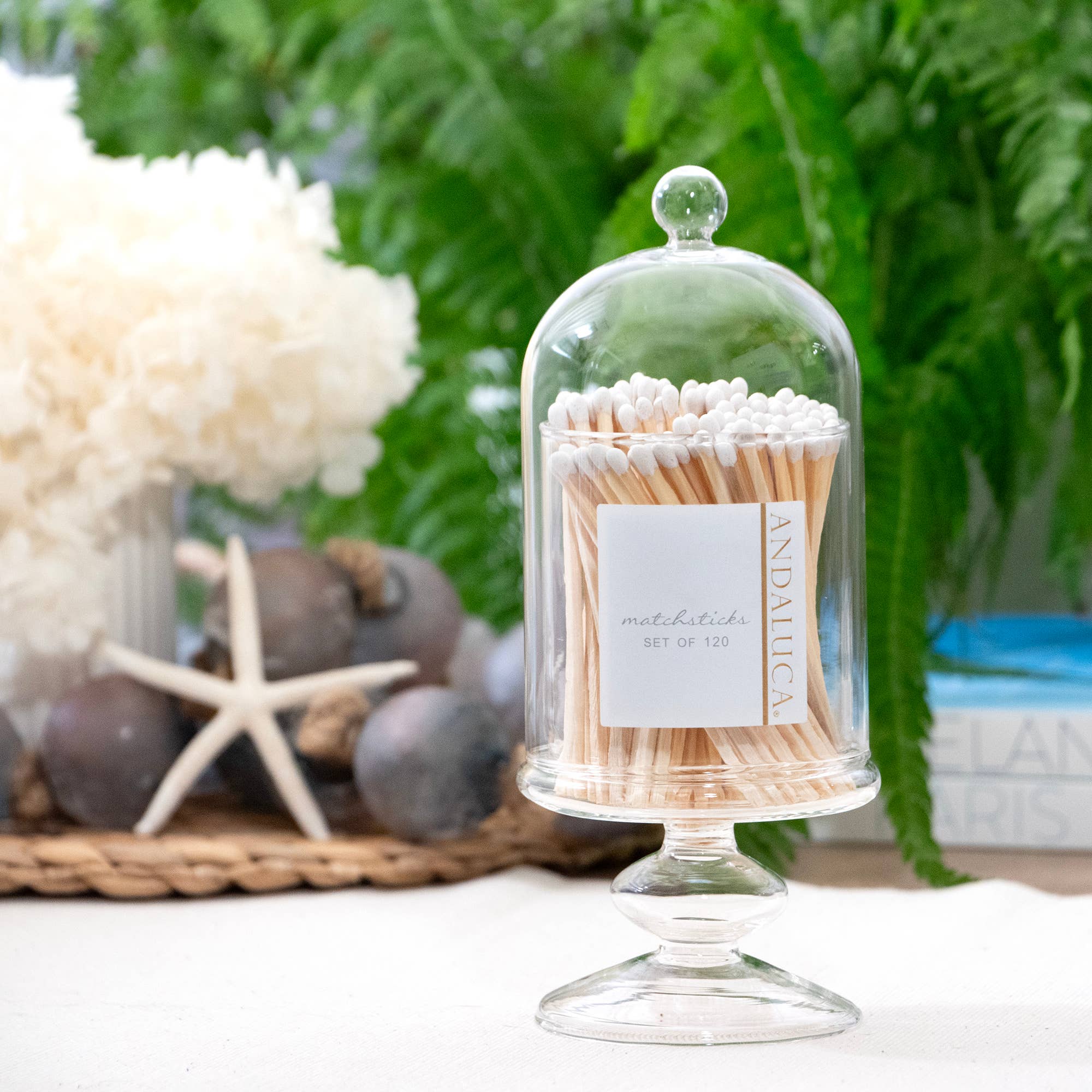 Glass Match Cloche