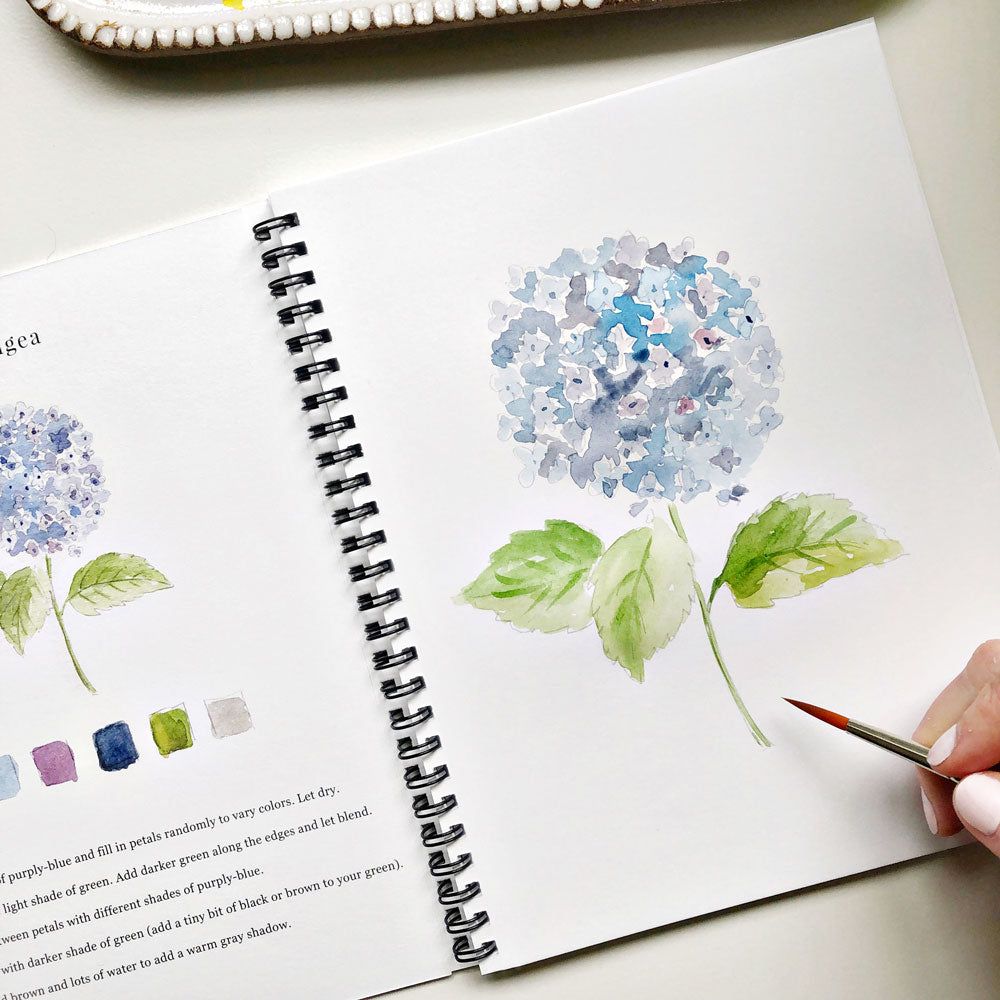 Emily Lex Watercolor Workbook