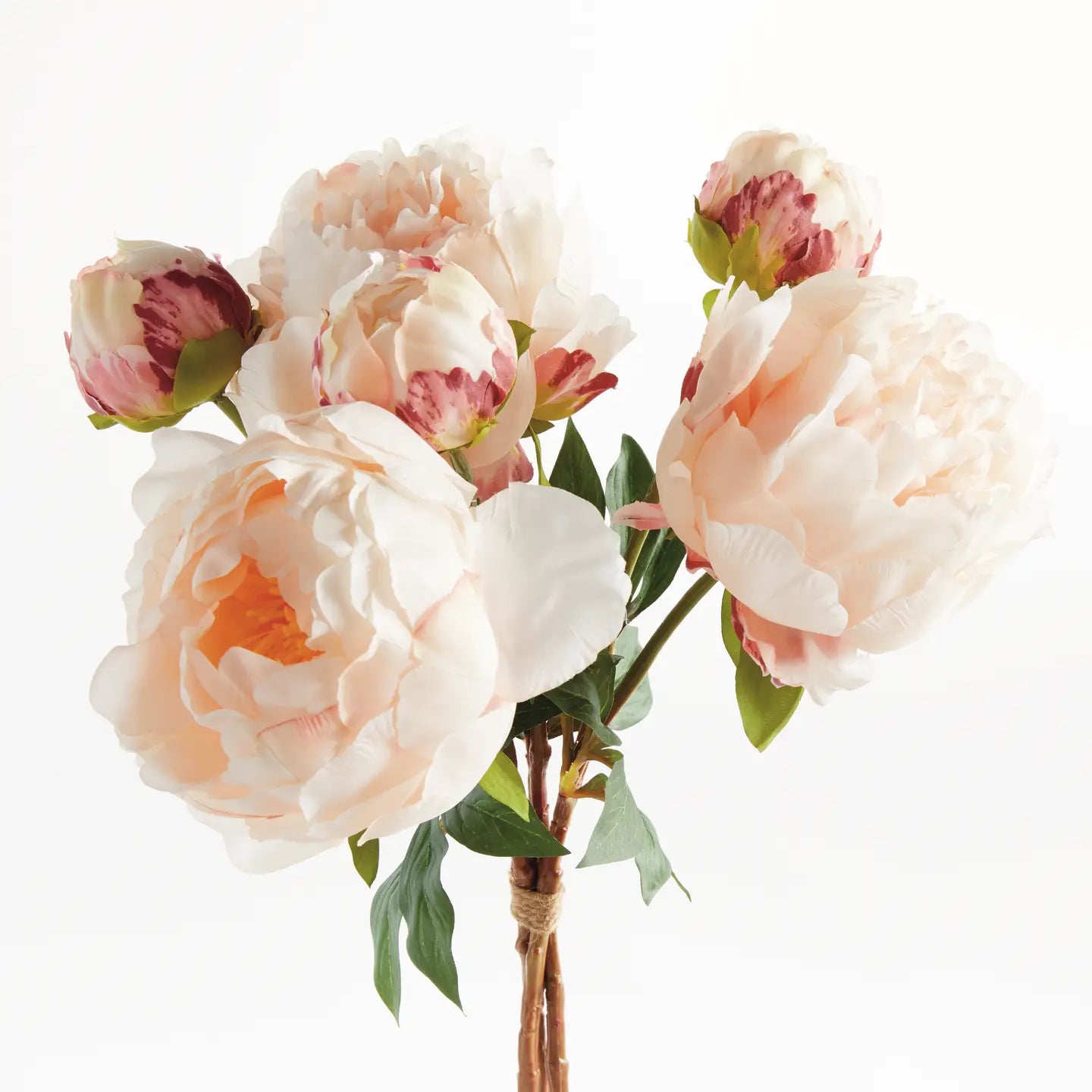 Peonies 21", Light Pink Light Coral  (Bundle of 3 stems)