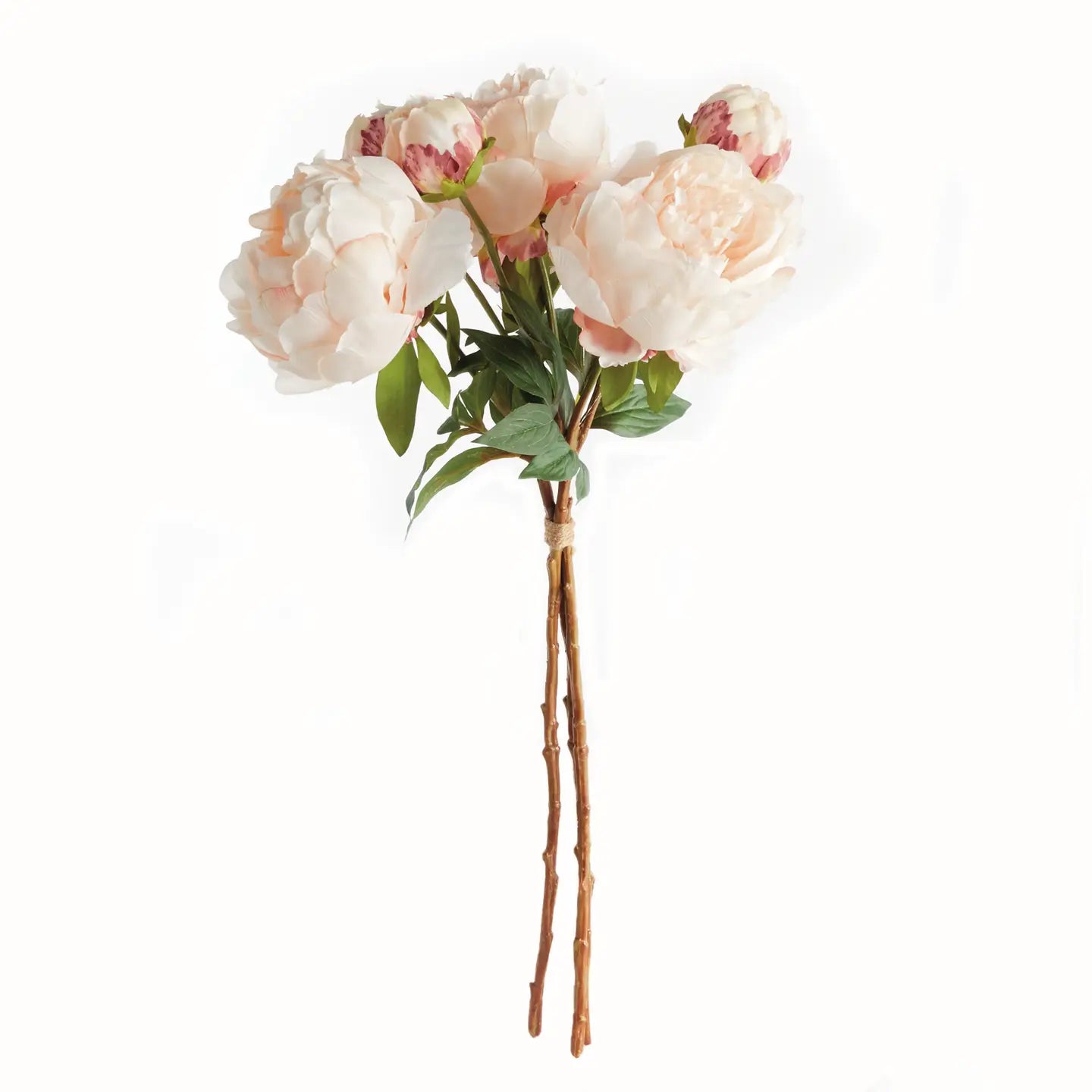 Peonies 21", Light Pink Light Coral  (Bundle of 3 stems)