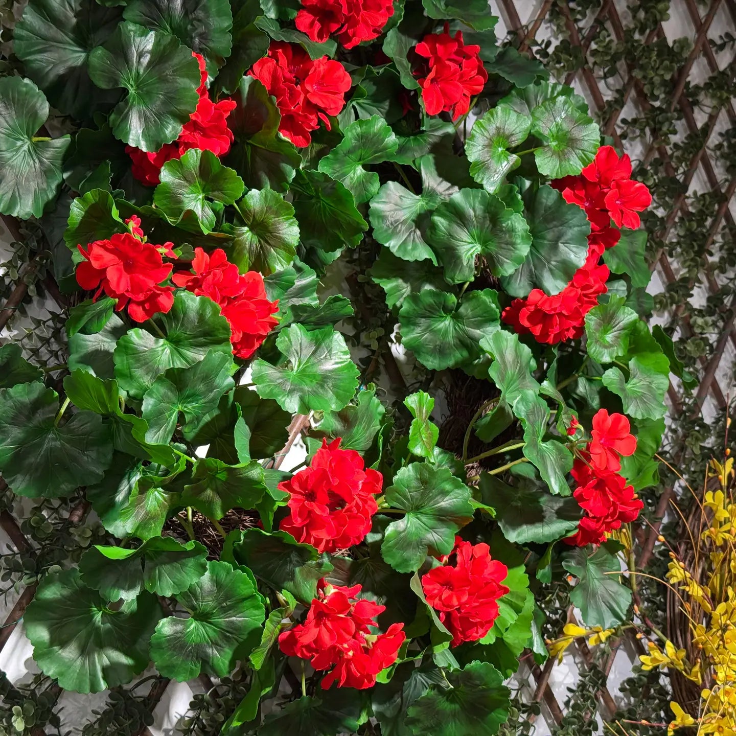 Geranium Wreath 26"