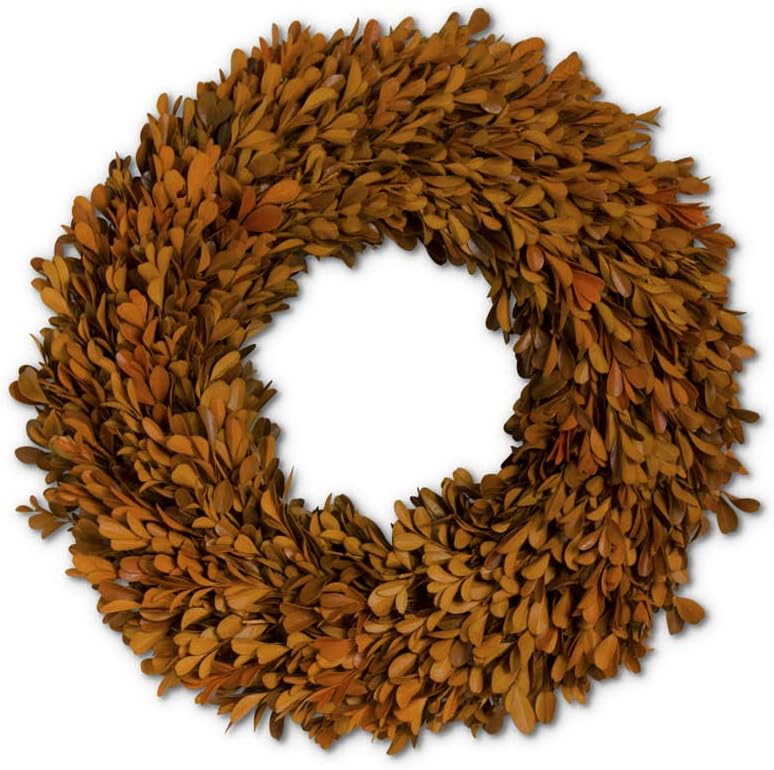 Orange Preserved Boxwood Wreaths