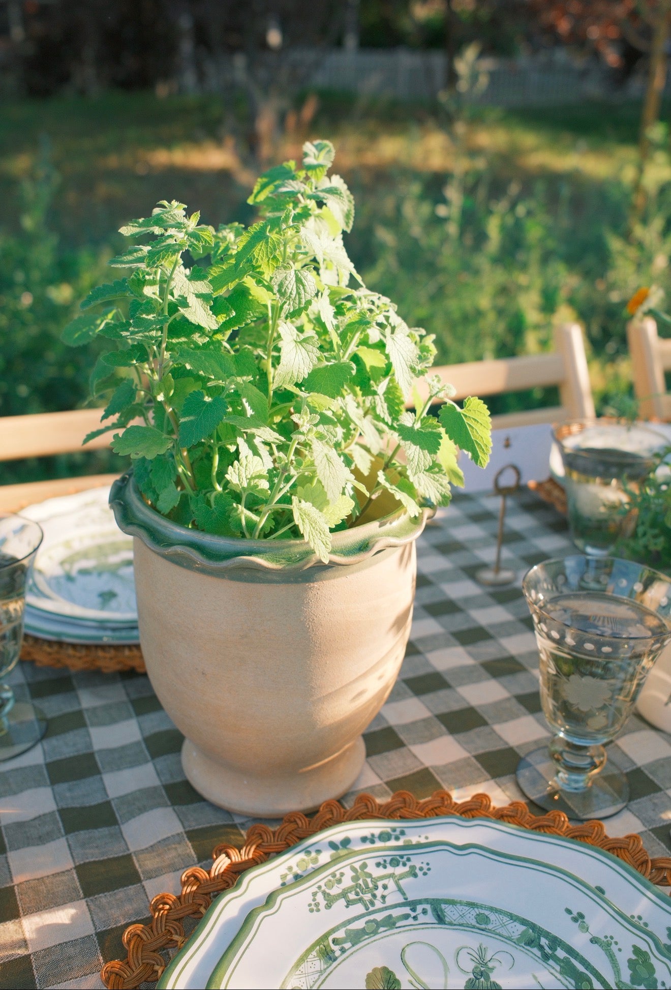 Patisserie Pot Basil