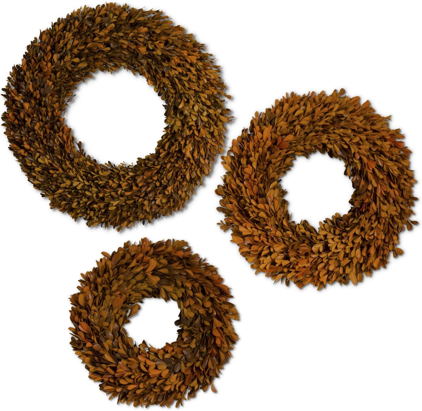 Orange Preserved Boxwood Wreaths