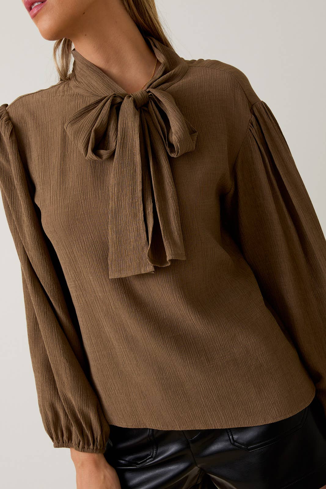Long Sleeve Neck Tie Blouse Coco