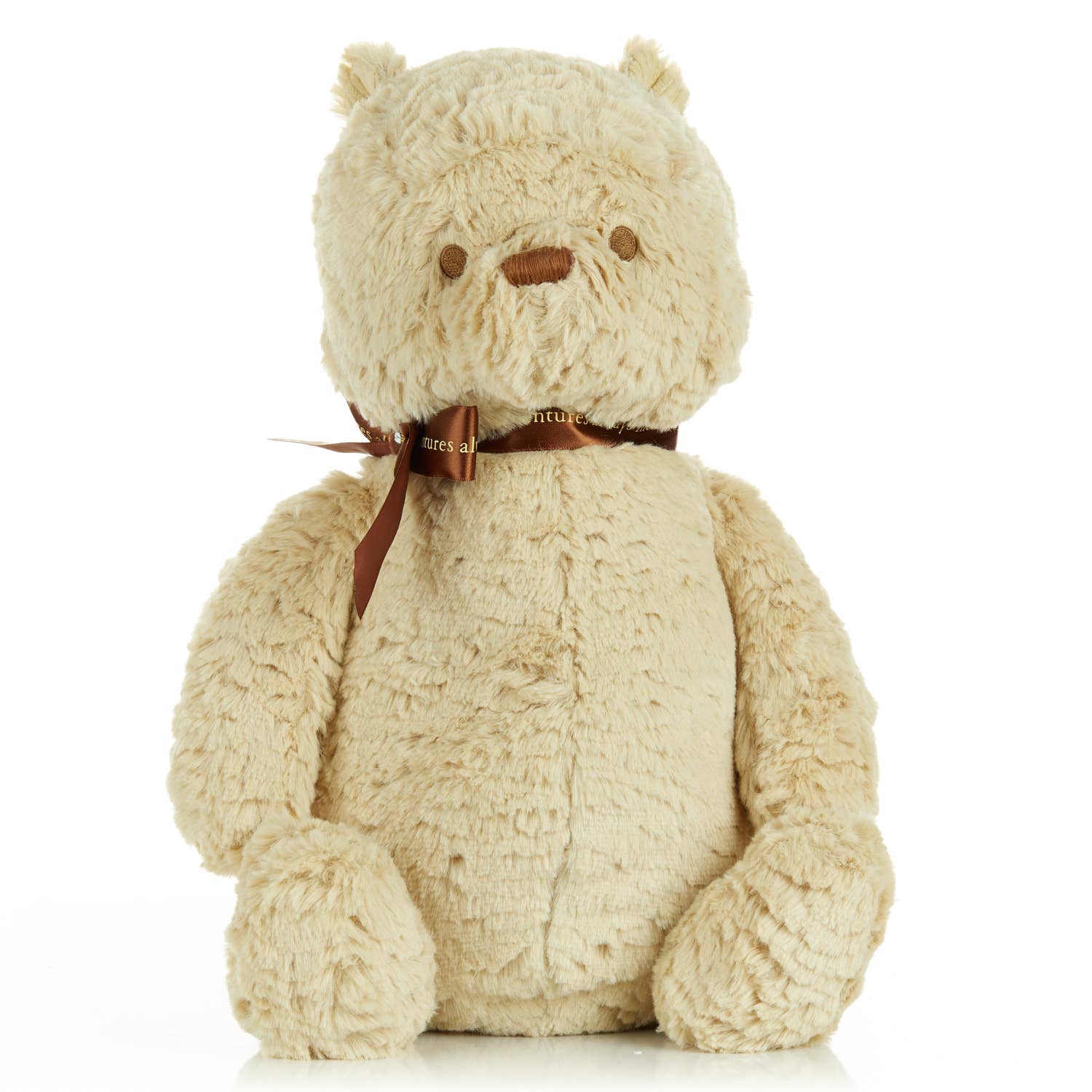 Classic Pooh Large Plush