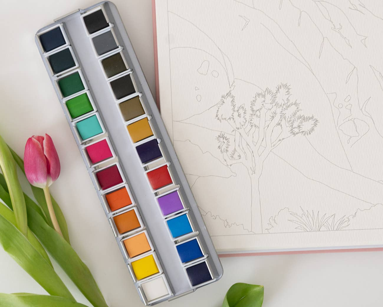Watercolor Paint Palette