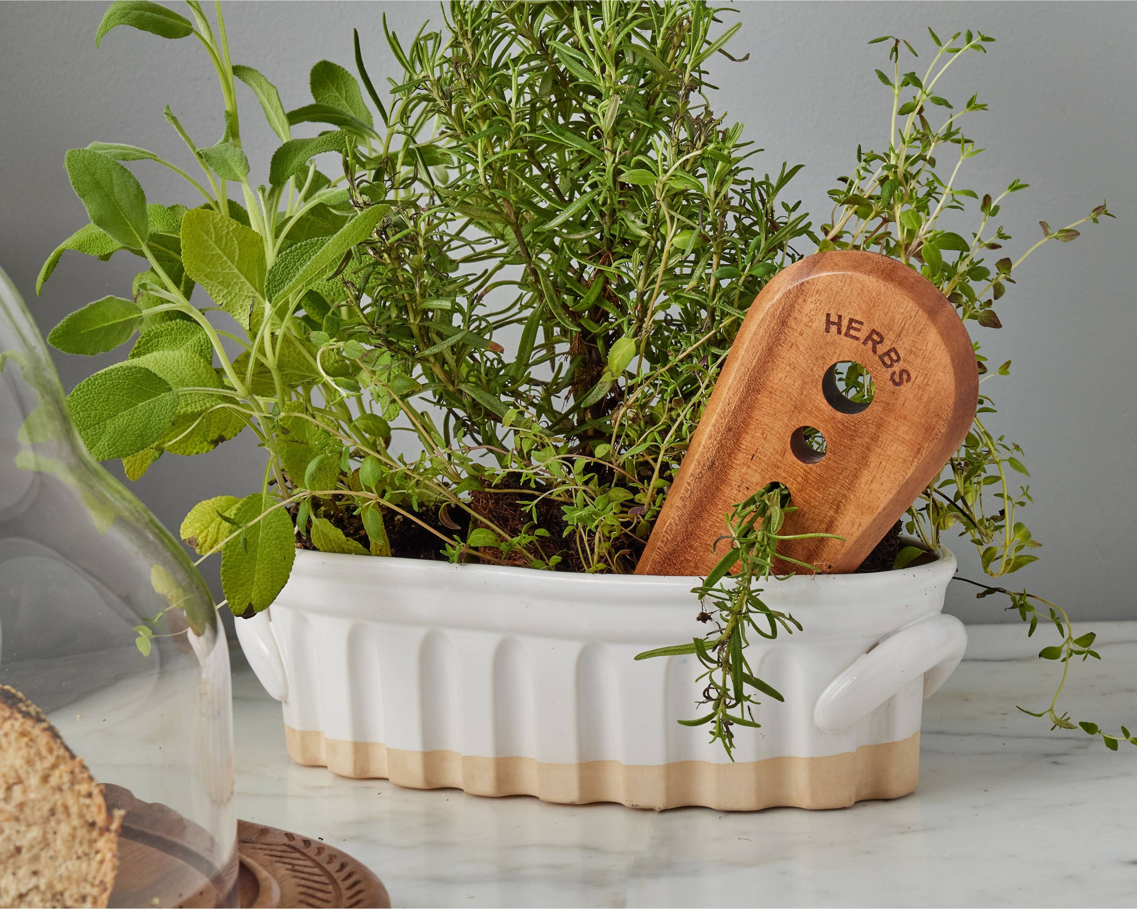 Herb Stripper