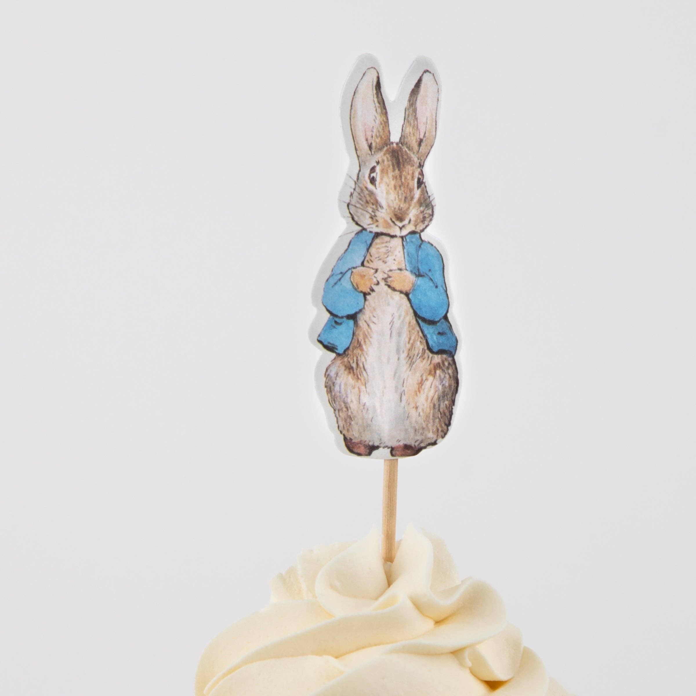 Peter Rabbit In The Garden Cupcake Kit