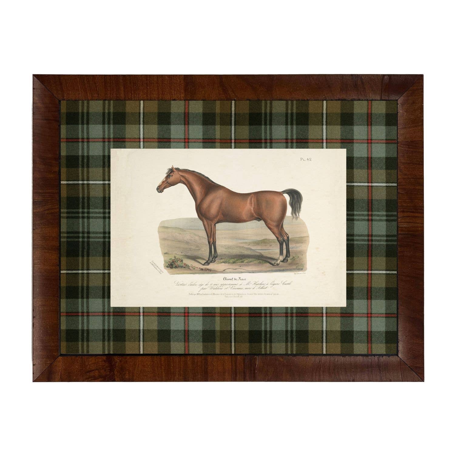 Vintage Equestrian Bookplate