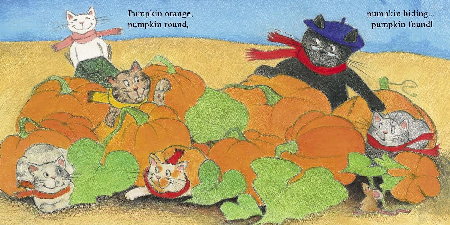 Pumpkin Orange, Pumpkin Round