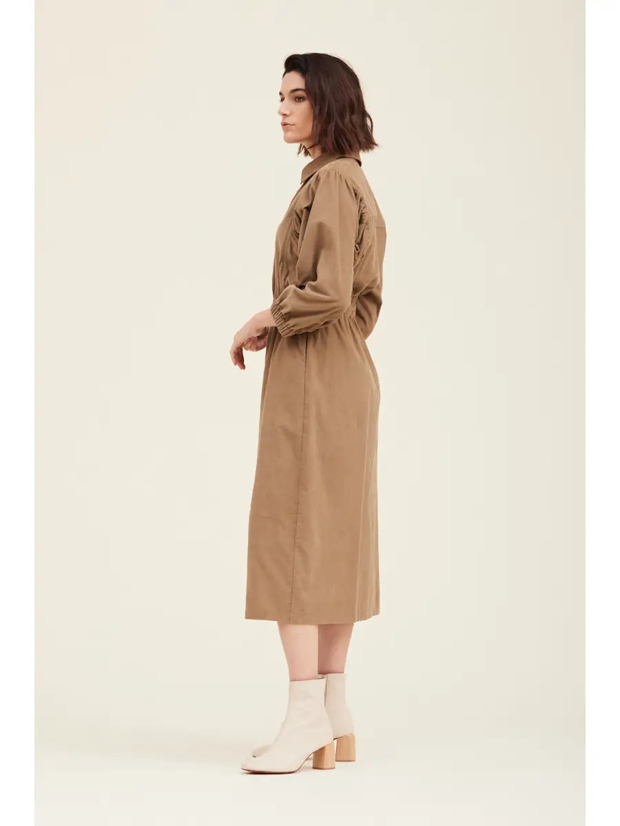 Corduroy Collar Dress