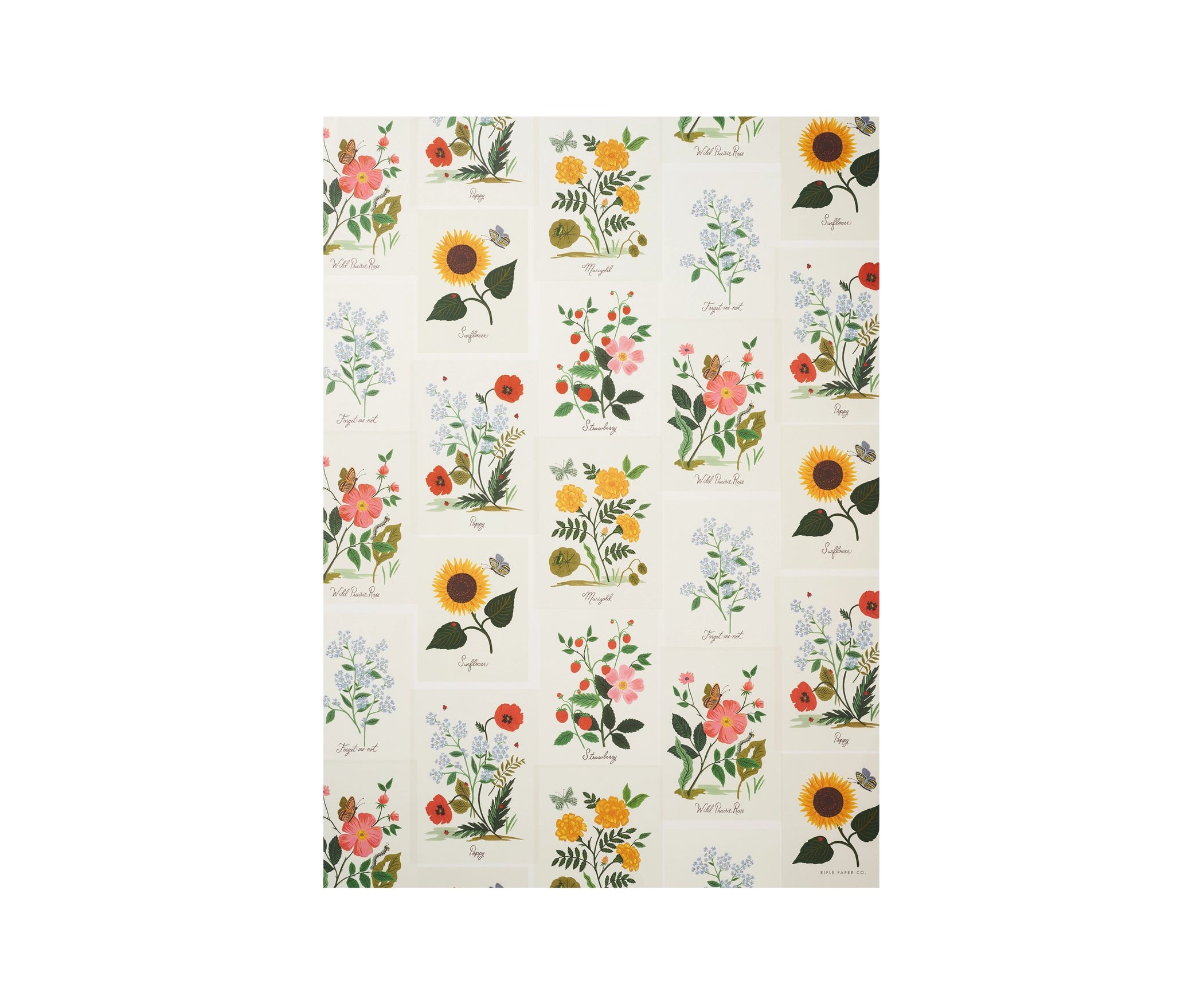 Botanical Wrapping Sheets Set