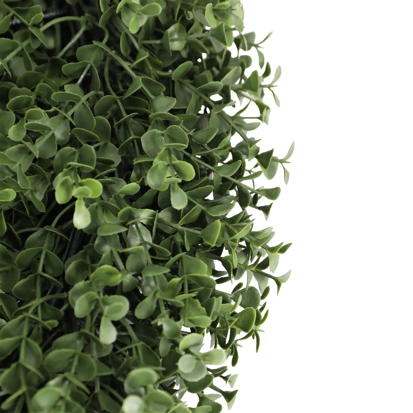 UV Boxwood Grand Wreath 23"