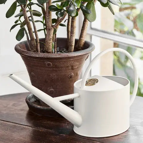 Indoor Watering Can