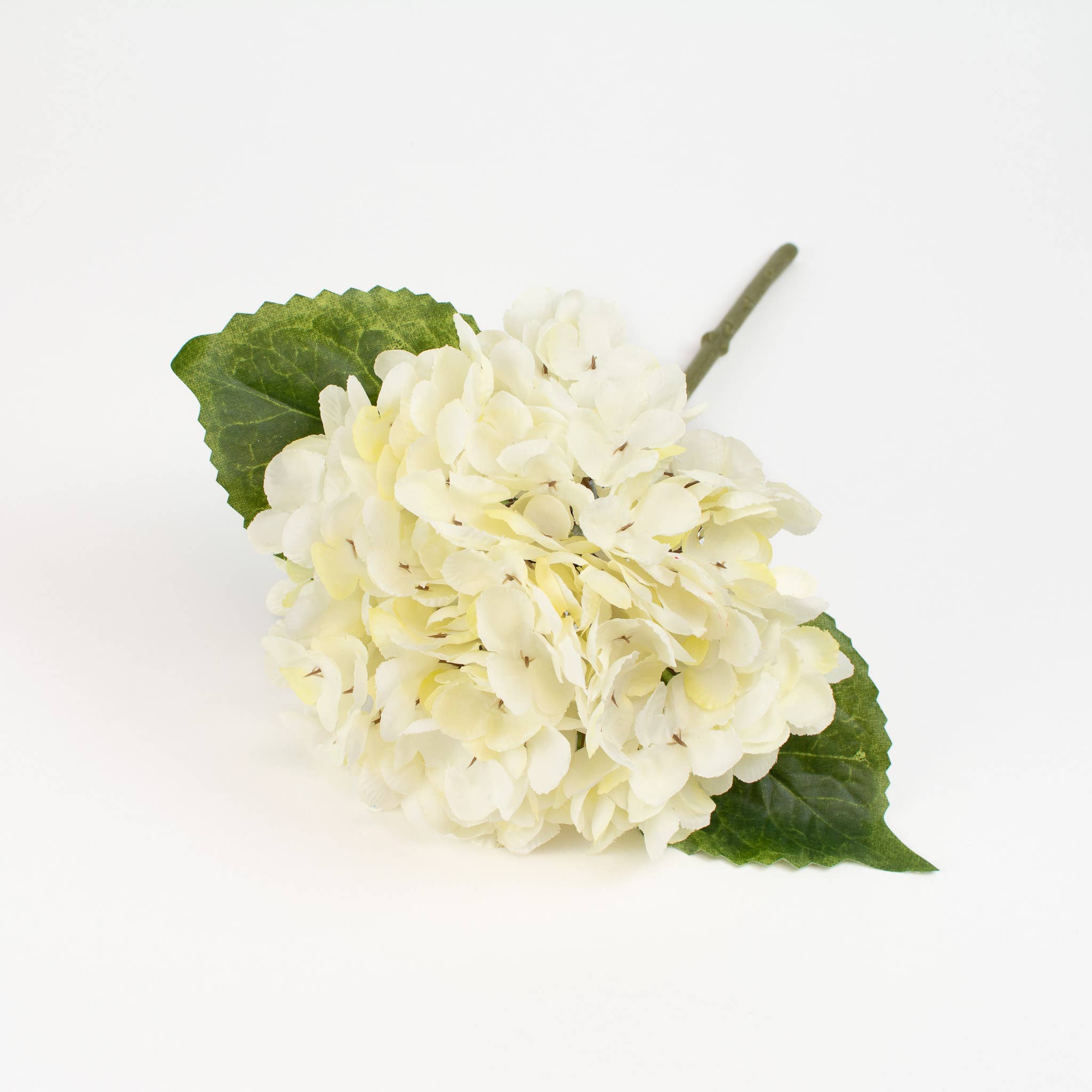 Hydrangea Stem Cream Bundle