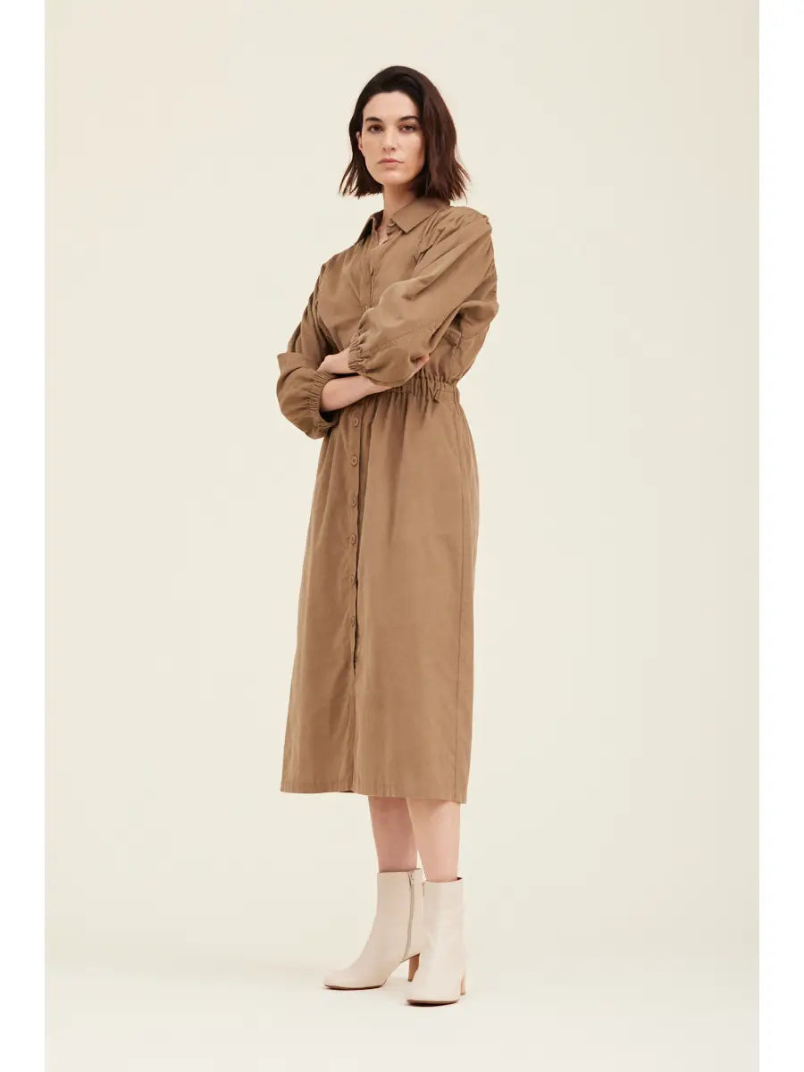 Corduroy Collar Dress