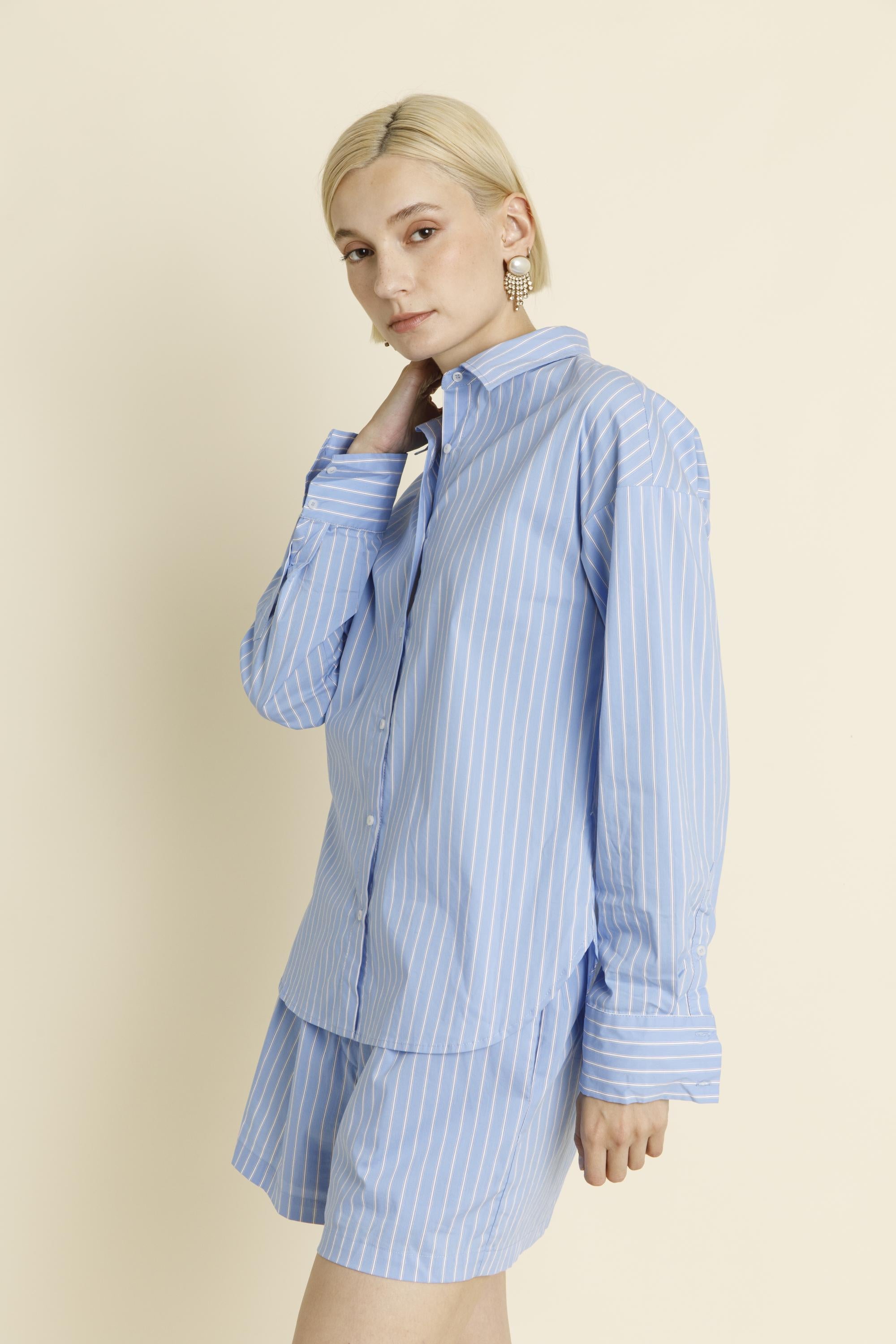 Long Sleeve Blue Striped Shirt