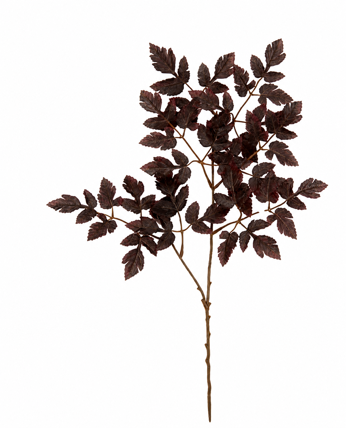 Plum Leaf Stem 24" Bundle