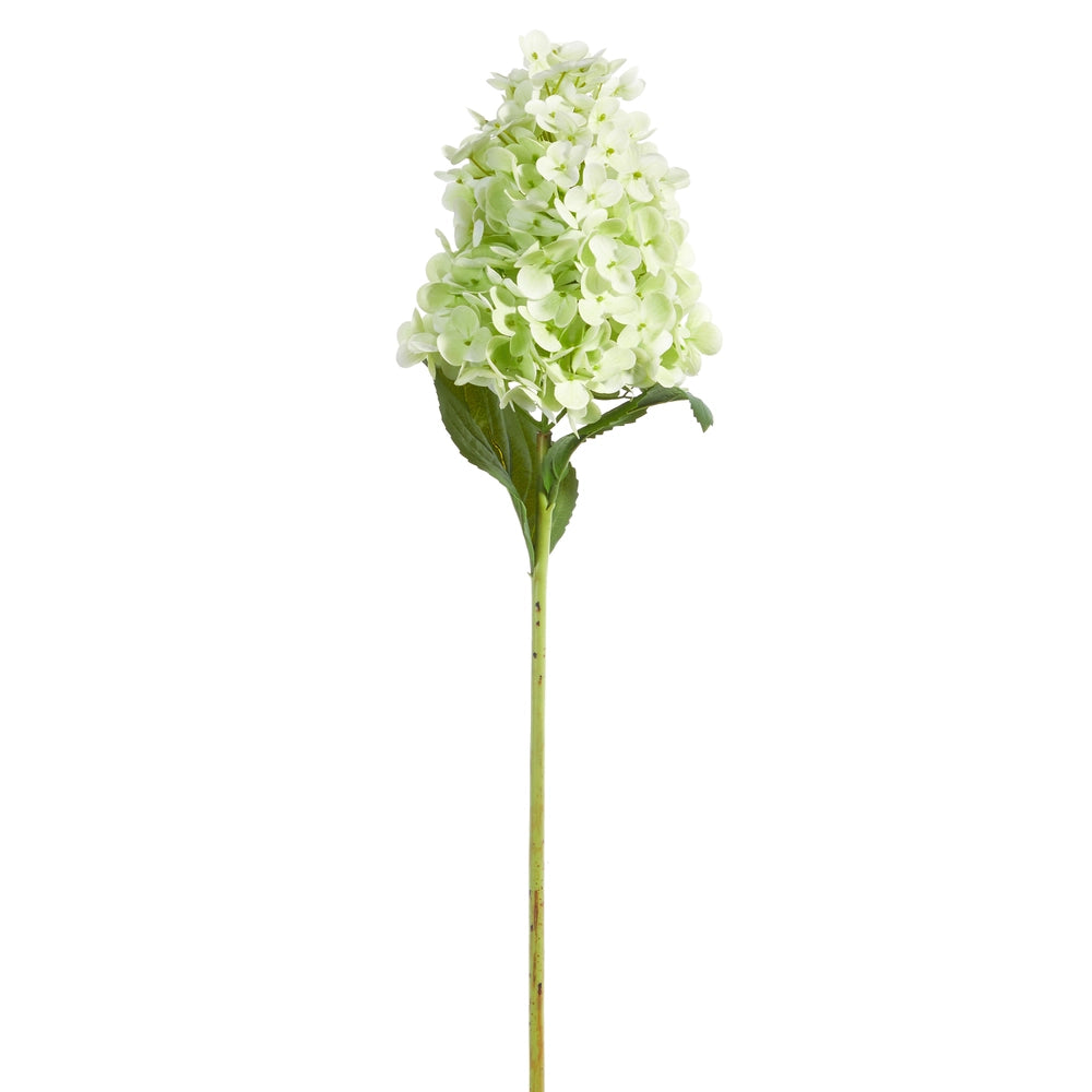 Real Touch Green Cone Hydrangea Stem 29"