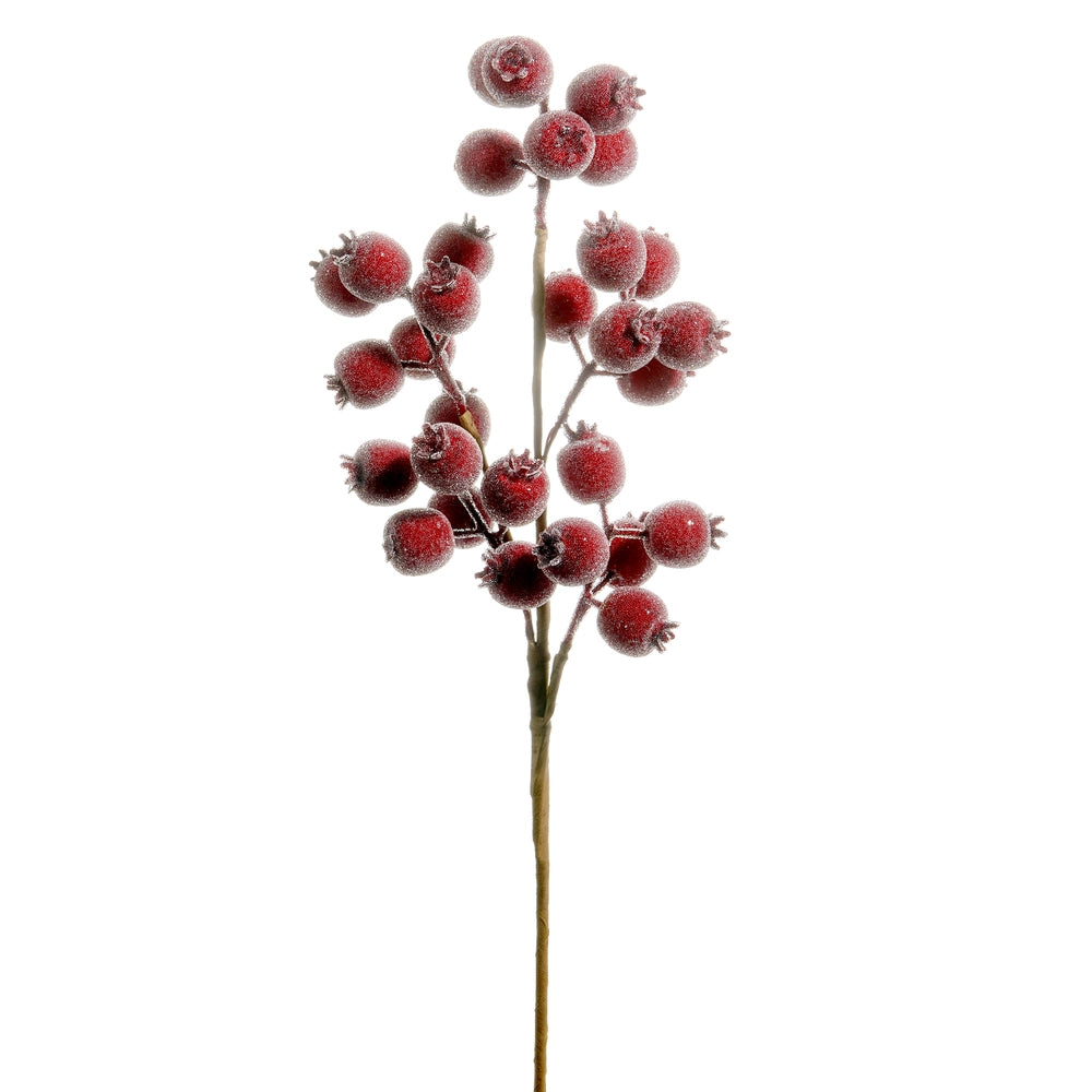 Iced Burgundy Pod Spray
