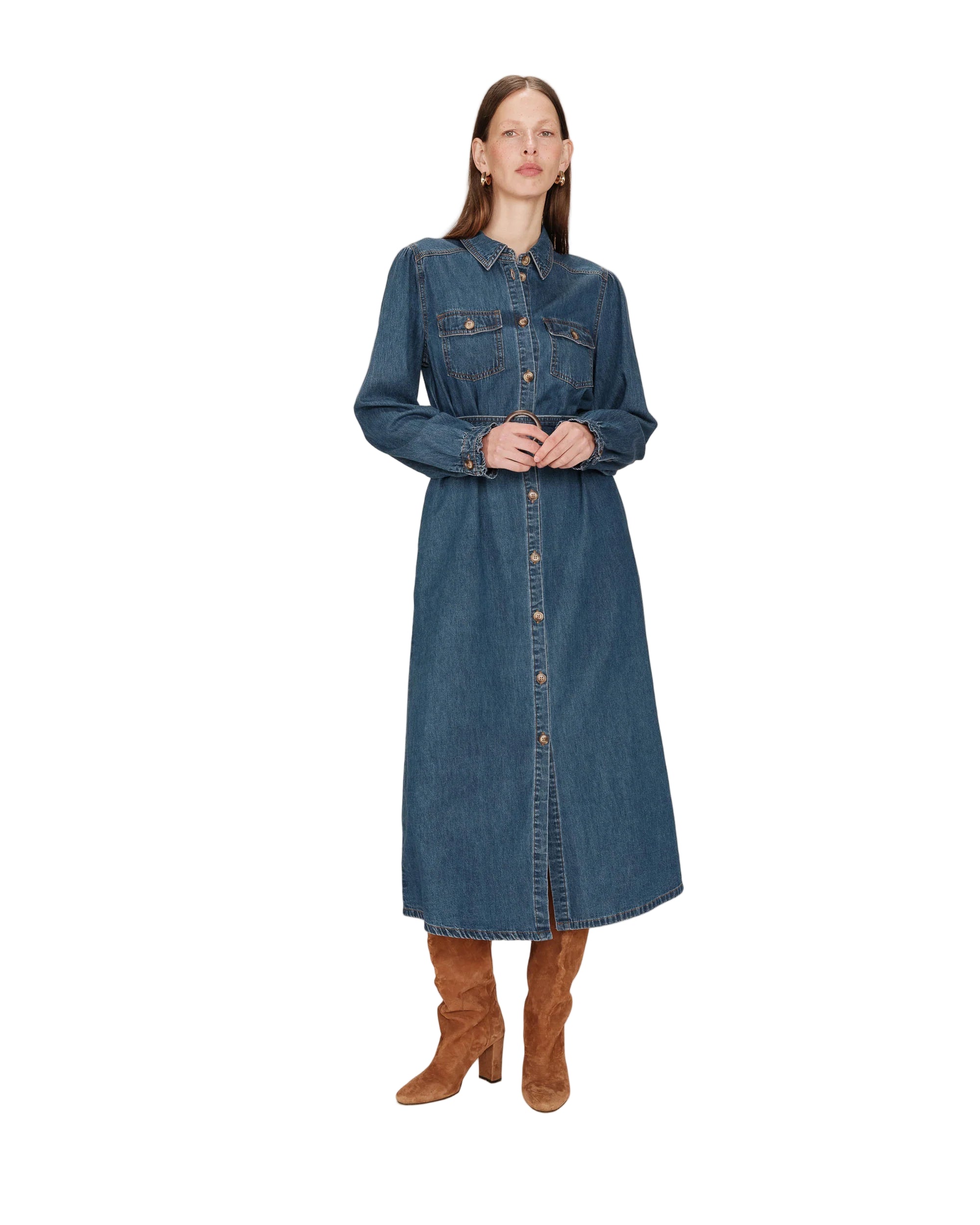 Shanie Denim Dress