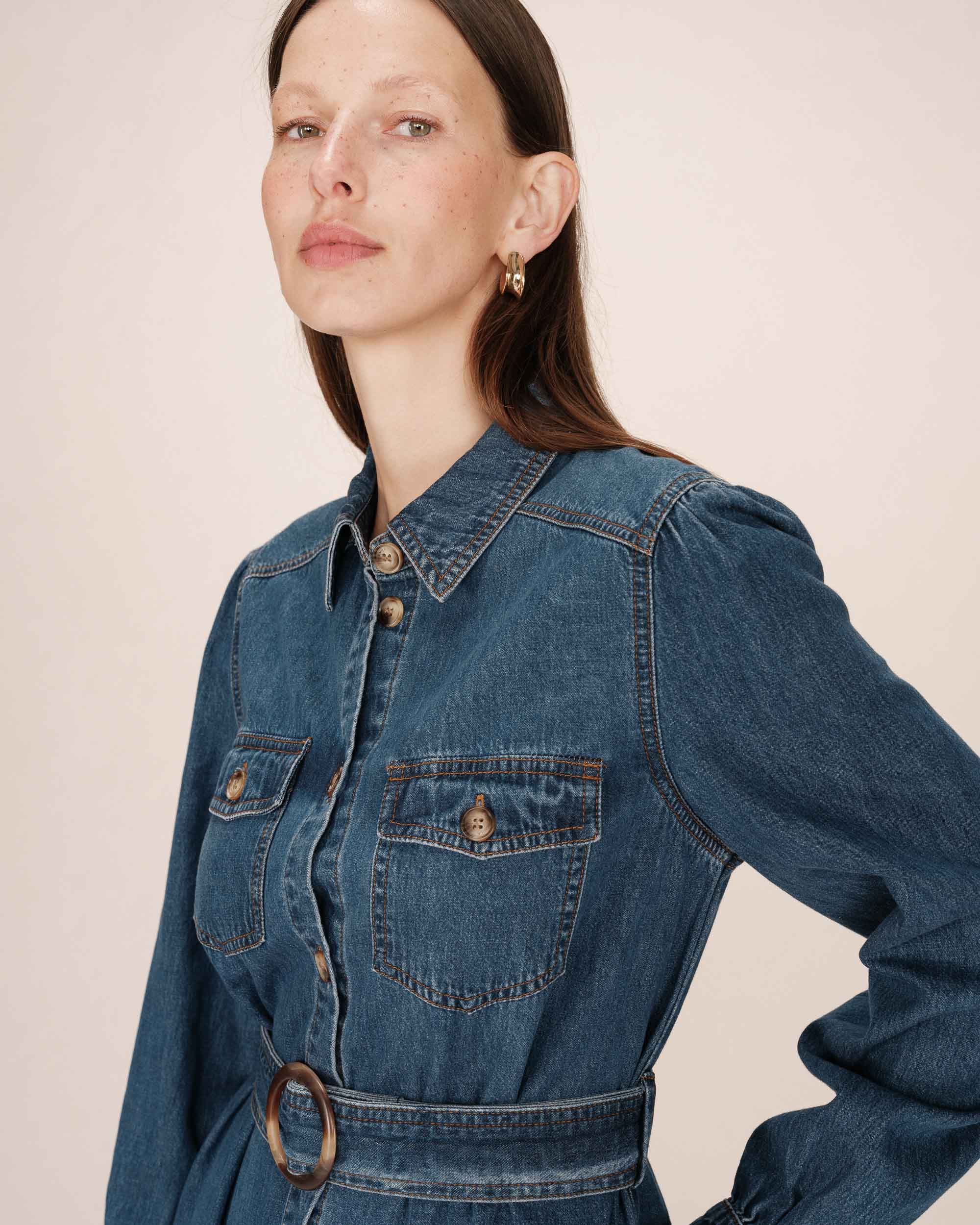 Shanie Denim Dress